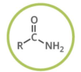 <p>Name the functional group</p>