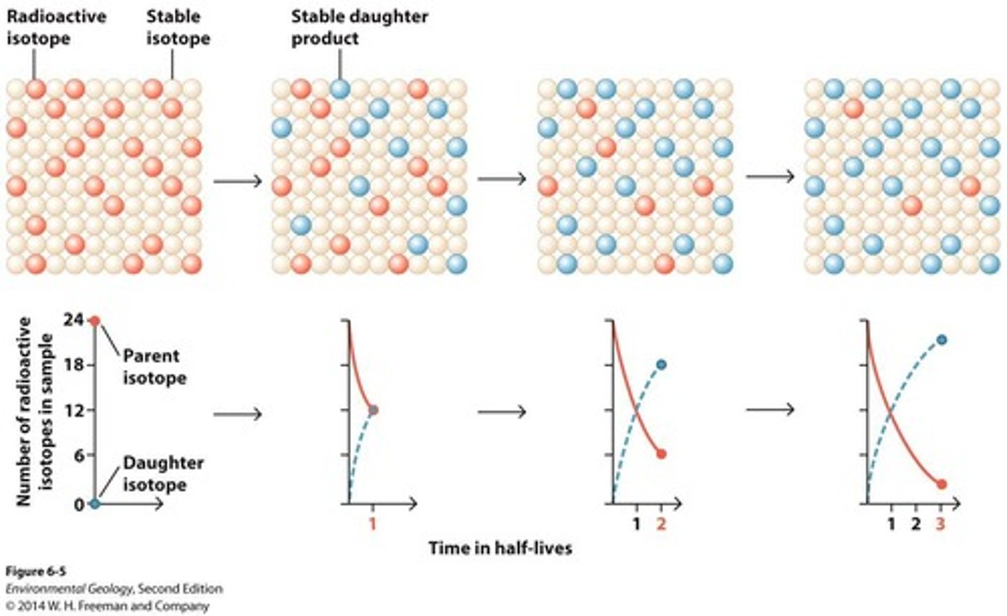 <p>It is the original unstable isotope that decays into stable daughter isotopes.</p>