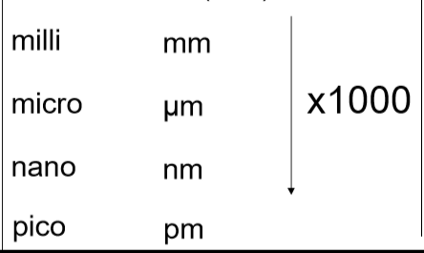 <p>x1000</p>