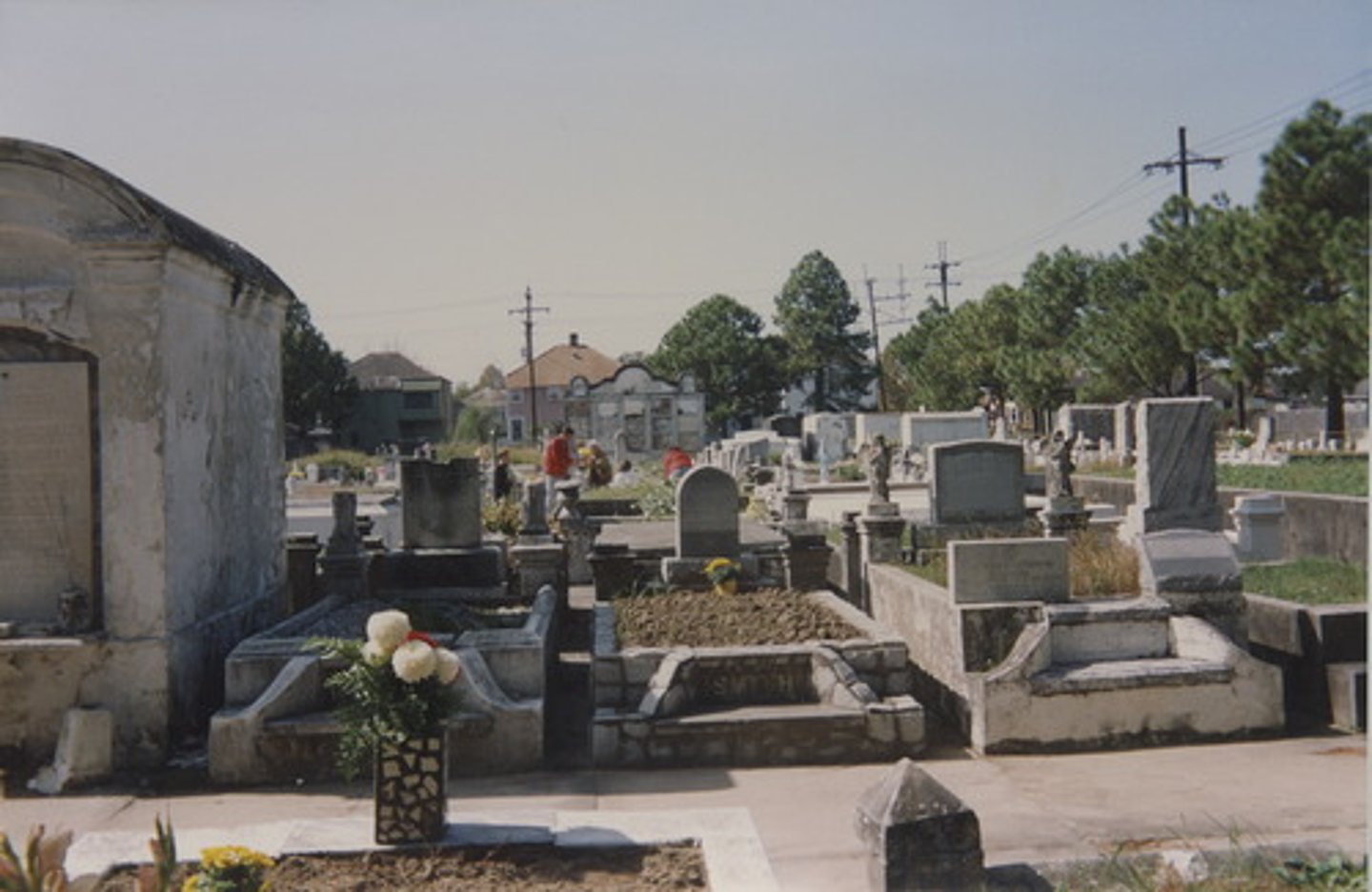 <p>perder la vida; fallecer</p><p>(to die)</p>