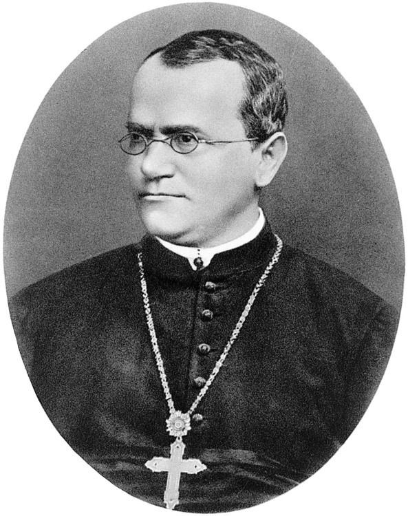 **GREGOR MENDEL**