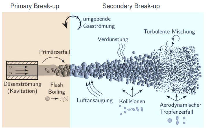 <p><strong>Primärzerfall</strong>: Bildung von Verbindungen &amp; Tröpfchen aus kohärenter Flüssigkeitsphase an Düsenöffnung, auch interne Kavitation → nicht in Sprühkammer messbar</p><p><strong>Sekundärzerfall</strong>: tritt weiter hinten auf vor allem durch aerodynamische Interaktionen zwischen Flüssigkeit und Gas → wichtige Informationen (Durchmesser (SMD), Geschw., Penetration) in Sprühkammer messbar</p>