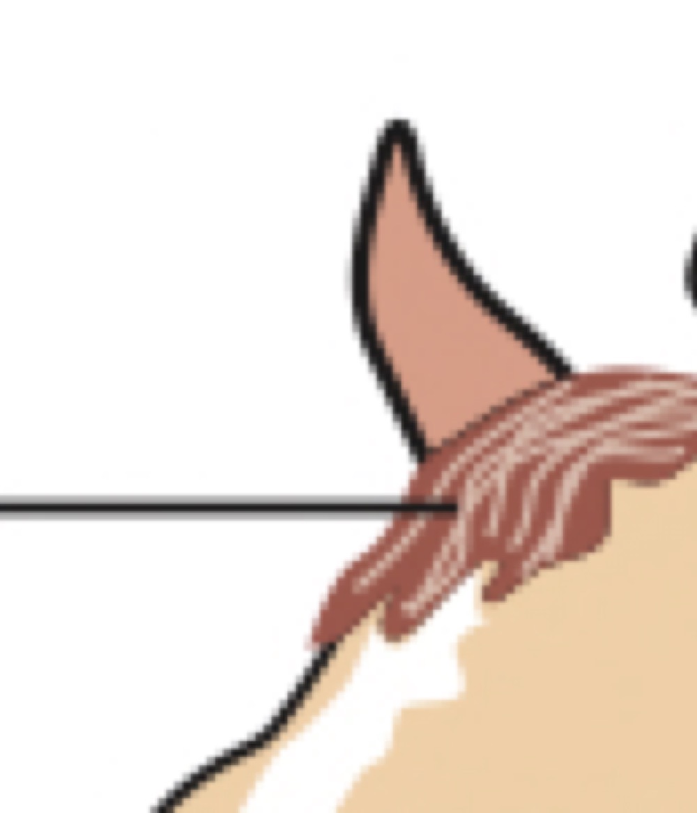 Forehead