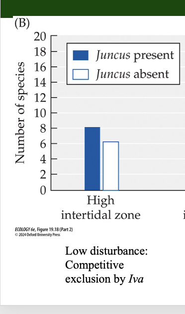 <p>Figure <strong>19.18&nbsp; Positive Interactions: Key to Diversity in Salt Marsh Communities?</strong></p><ul><li><p>High Intertidal Zone</p></li></ul><p></p>