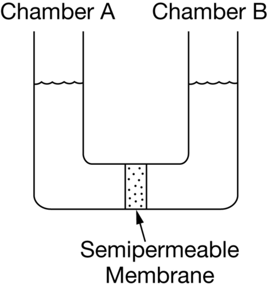 <p>Placing salt water in chamber A and</p><p>distilled water in chamber B</p>