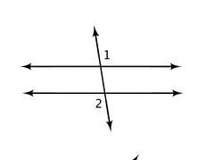 <p>angles located on the transversal outside two specific lines</p>