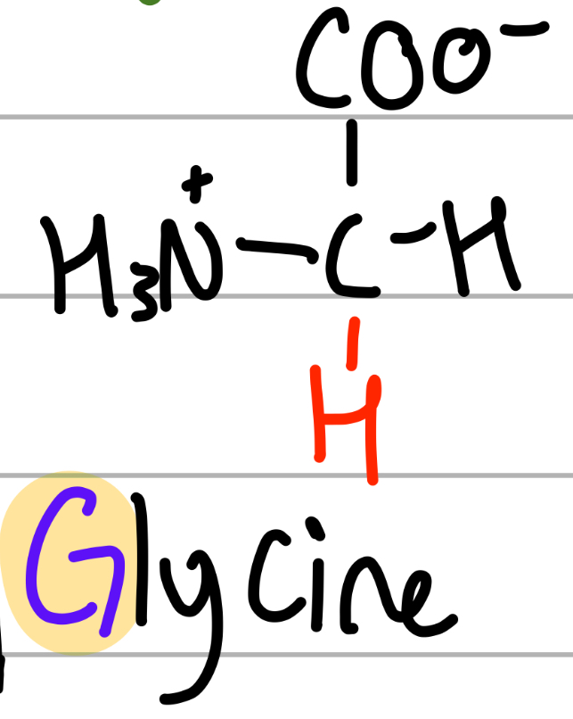 <p>-H;</p><p>G = ?;</p><p>np, Hphobic, aliphatic</p>