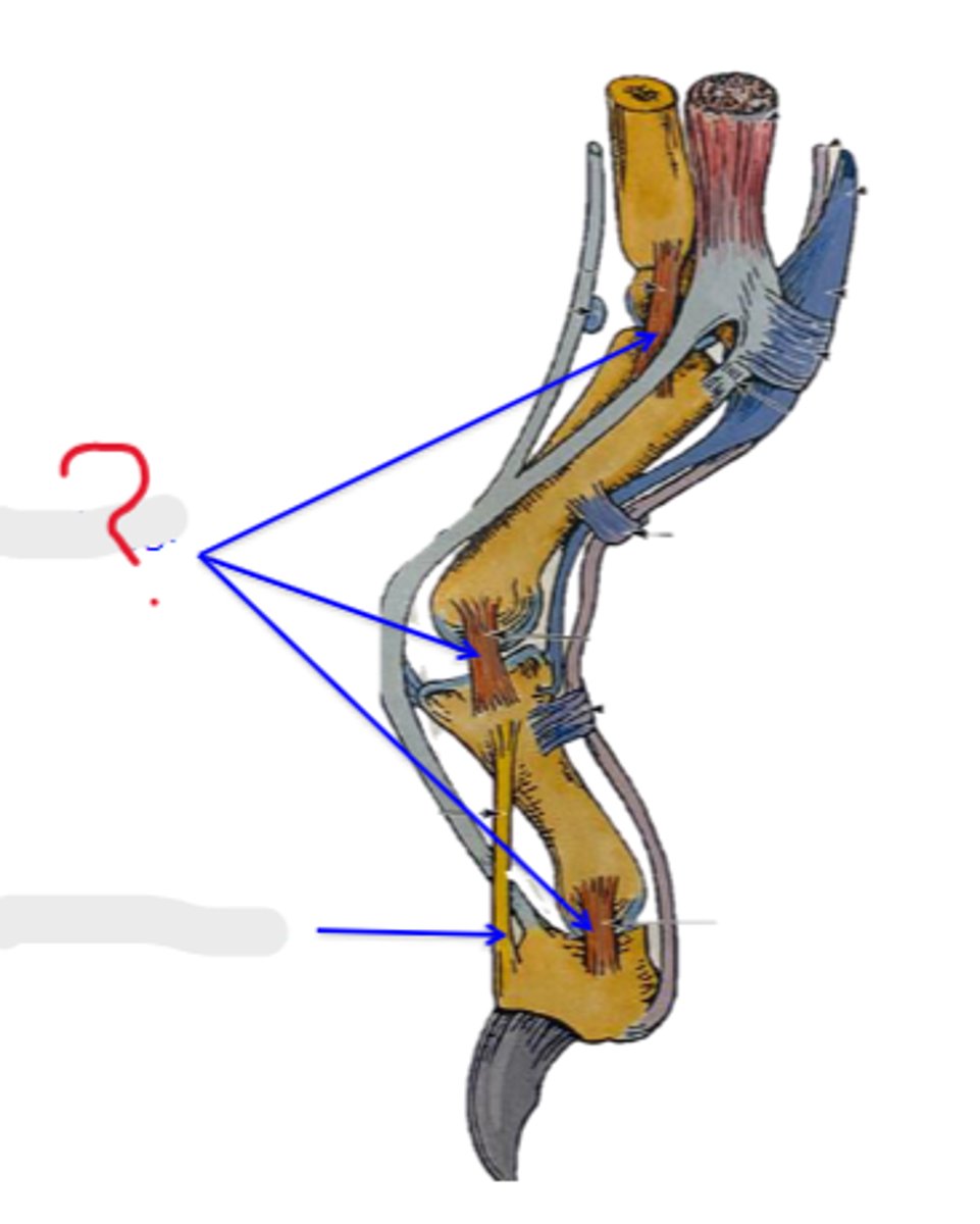 <p>What is the arrow pointing to?</p>