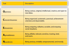 <p>type of trait theory; five basic traits: extroversion (where you draw energy from), conscientiousness (dependability), agree ability (how you get along with others), emotional stability (self-explanatory), openness (culture, new experiences)</p>