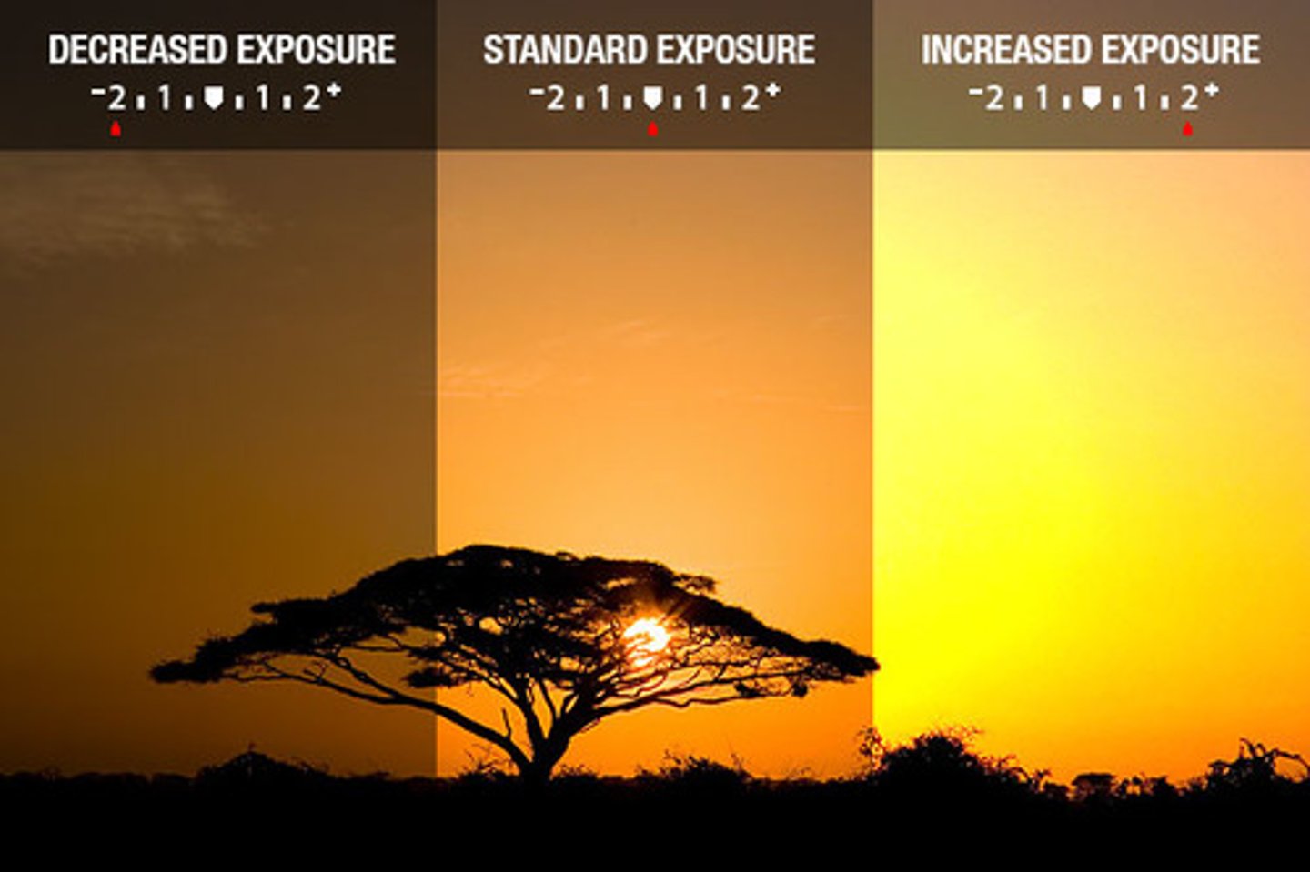 <p>practice of capturing multiple images of the exact same scene, with one a change in one camera setting for each image</p>