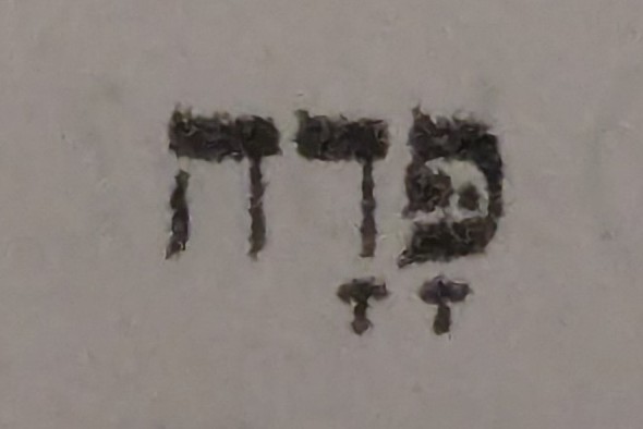 term image