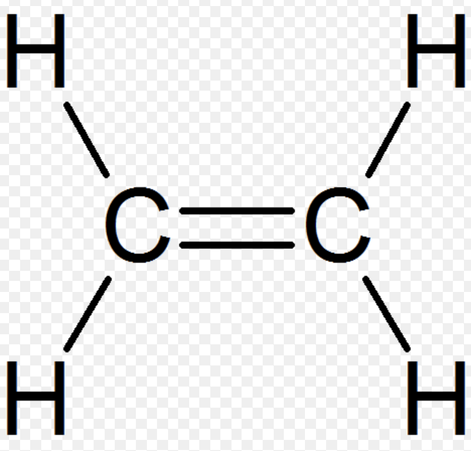 <p>double carbon-carbon bond</p>