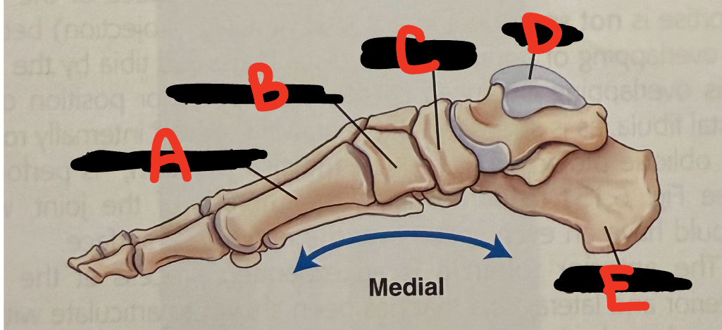 <p>E</p>