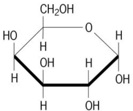 <p>An example of a monosaccharide that is found in dairy products.</p>