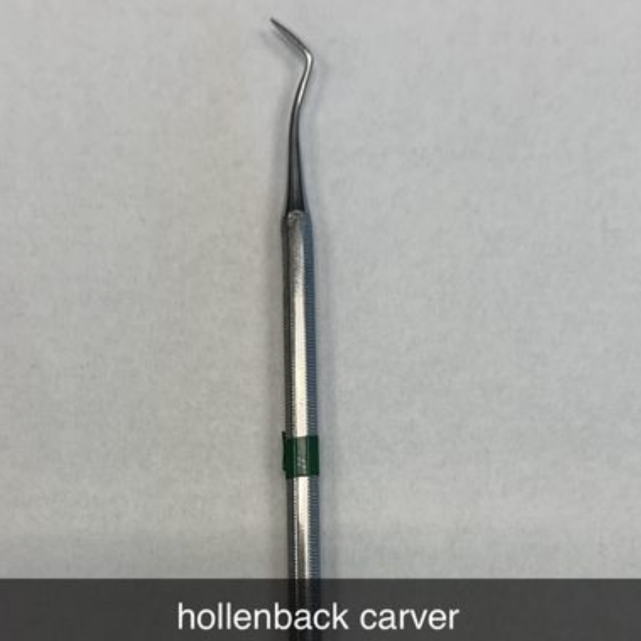 <p>HOLLENBACK CARVER</p>