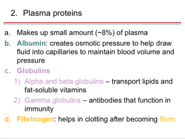 <p>heterogeneous group of plasma proteins that includes transport proteins, clotting factors, immune proteins, and others</p>