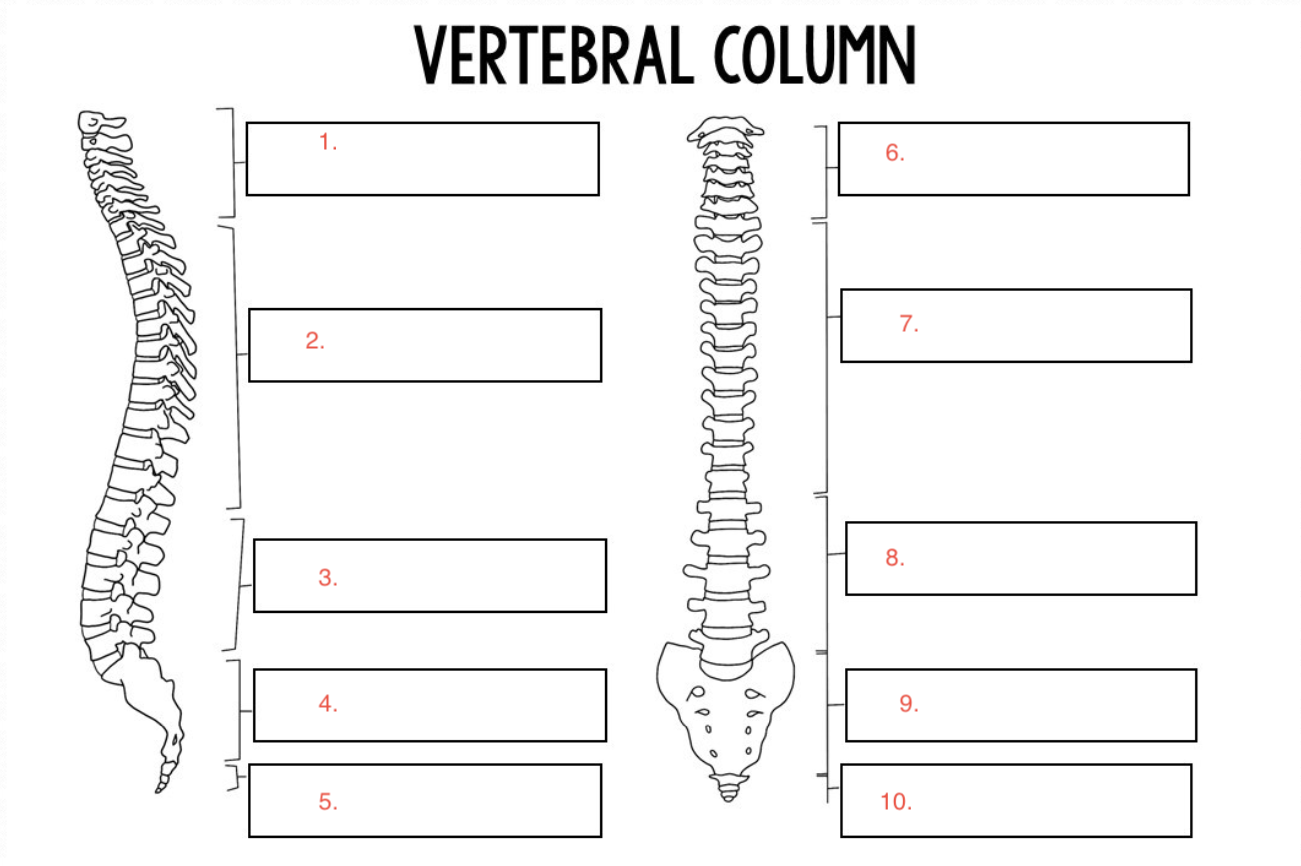 <p>#4 </p>