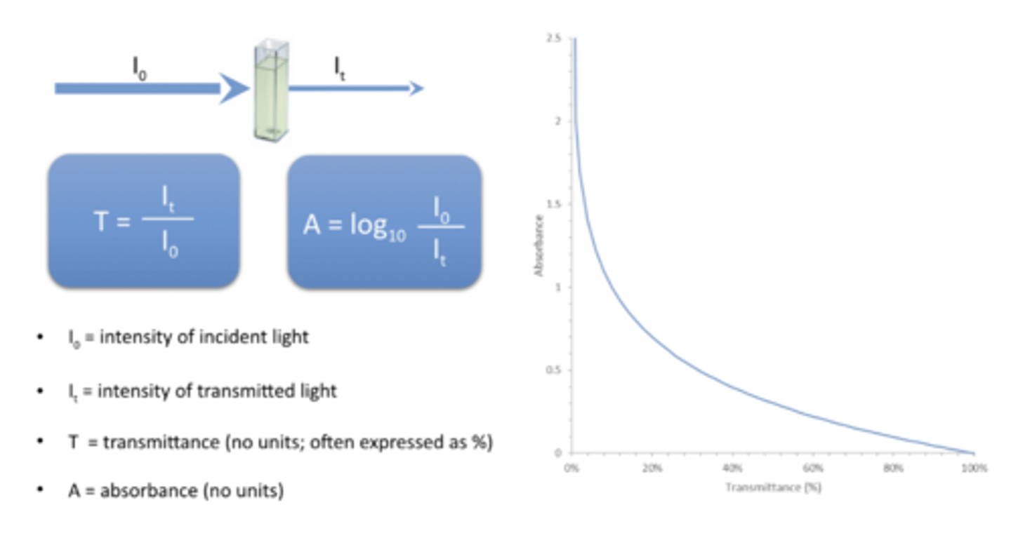 <p>Absorbance is directly proportional to concentration.</p>