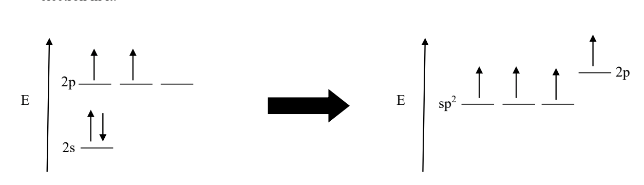 <p>results from the mixing of one s orbital and two p orbital. One unhybridized p orbital remains for pi bonding. (you’ll have 3 sp² orbitals and ONE 2p orbital (that has a high E level))</p>