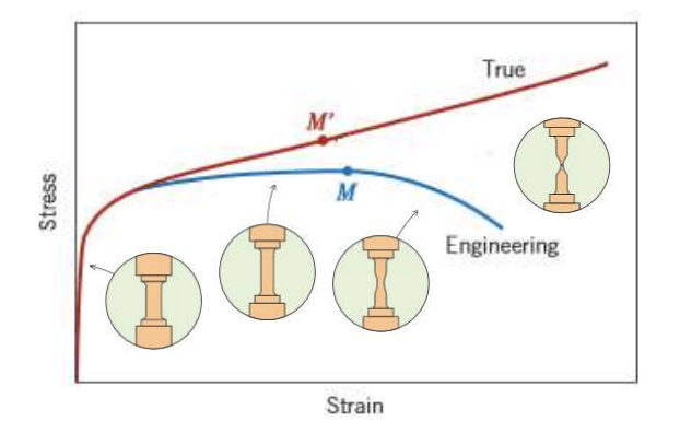 <p>“true” vs “engineering” stress strain curve</p>