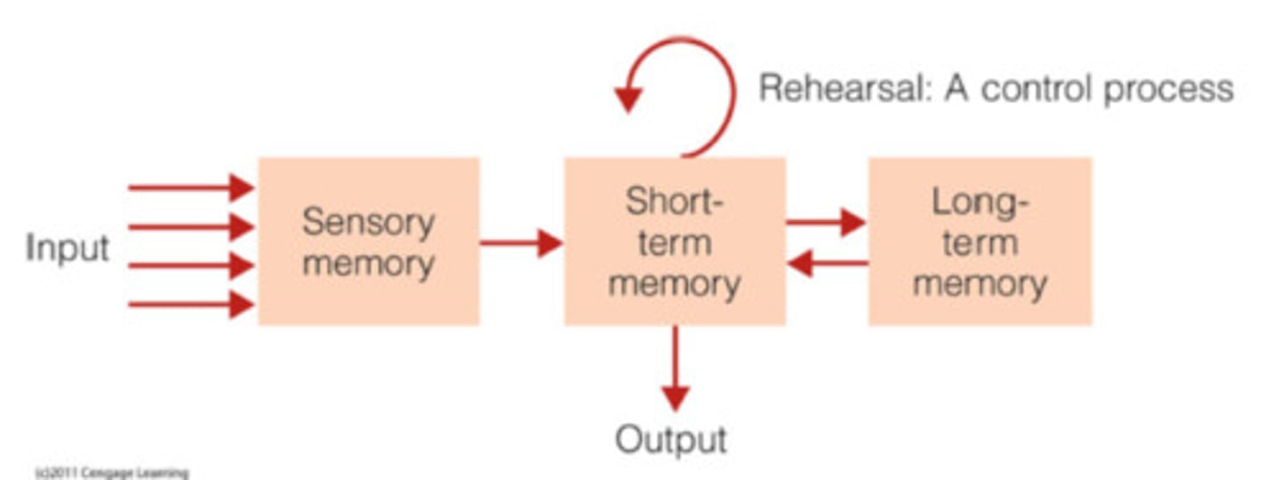 <p>model of memory that assumes the processing of information for memory storage is similar to the way a computer processes memory in a series of three stages</p>