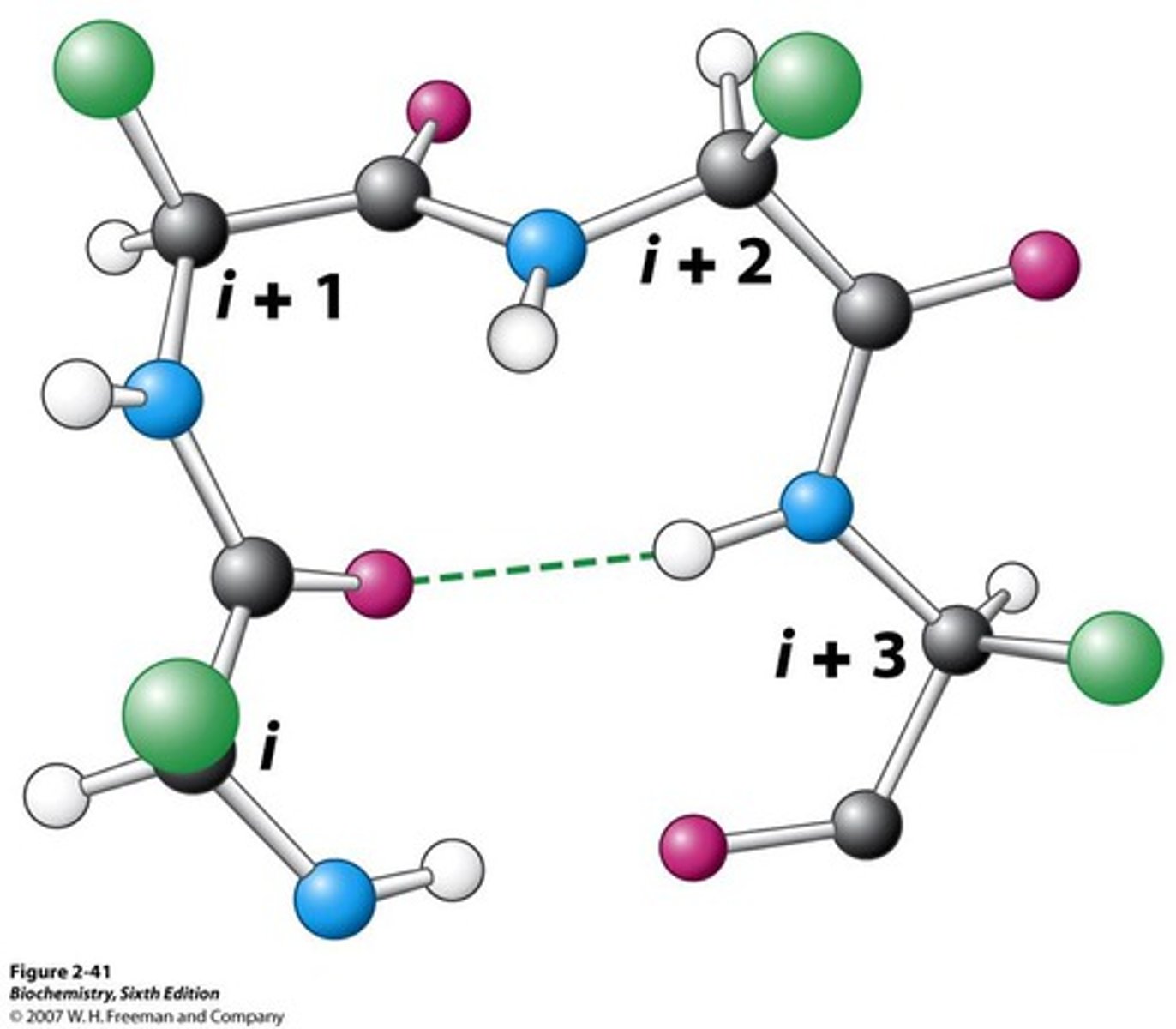 <p>- 4 residue segment that allows the peptide chain to turn 180</p><p>- found on surface of globular proteins connecting secondary structures</p><p>- h bonds form btwn carbonyl O and amine H</p><p>- Pro common at position 2 (structure helps start the turn)</p><p>- Gly (small) Asn Ser (side chains can be modified at the surface of the protein) also frequently seen in turns</p>