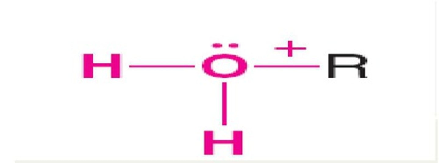 <p>-2.4</p>
