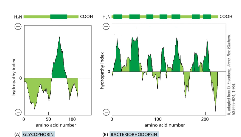 <p>How may passes are in protein A? In protein B?</p>