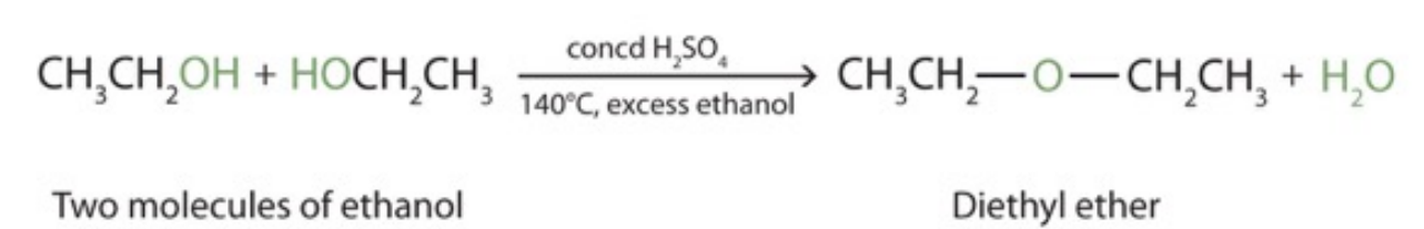 <p>catalyst: H<sub>2</sub>SO<sub>4</sub>, 140 ˚C</p><p>products: ether and water</p><p>could also form an alkene (elimination) if reaction occurred at 100 ˚C</p>