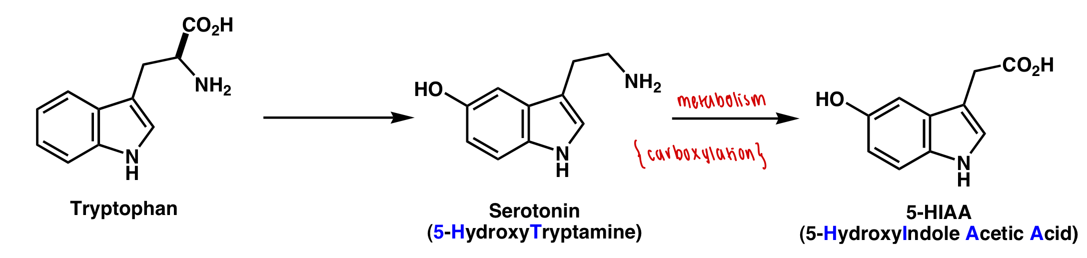 <p>serotonin = 5-HT</p><p>sumatriptan = 5-HIAA </p>