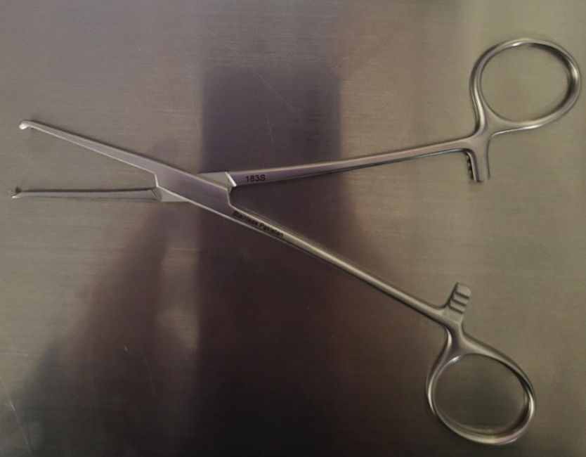 <p>Rochester-Ochsner hemostatic forceps</p>