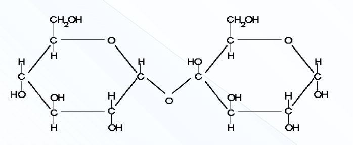 \[Disaccharides\]

\
A compound of 2 glucose molecules