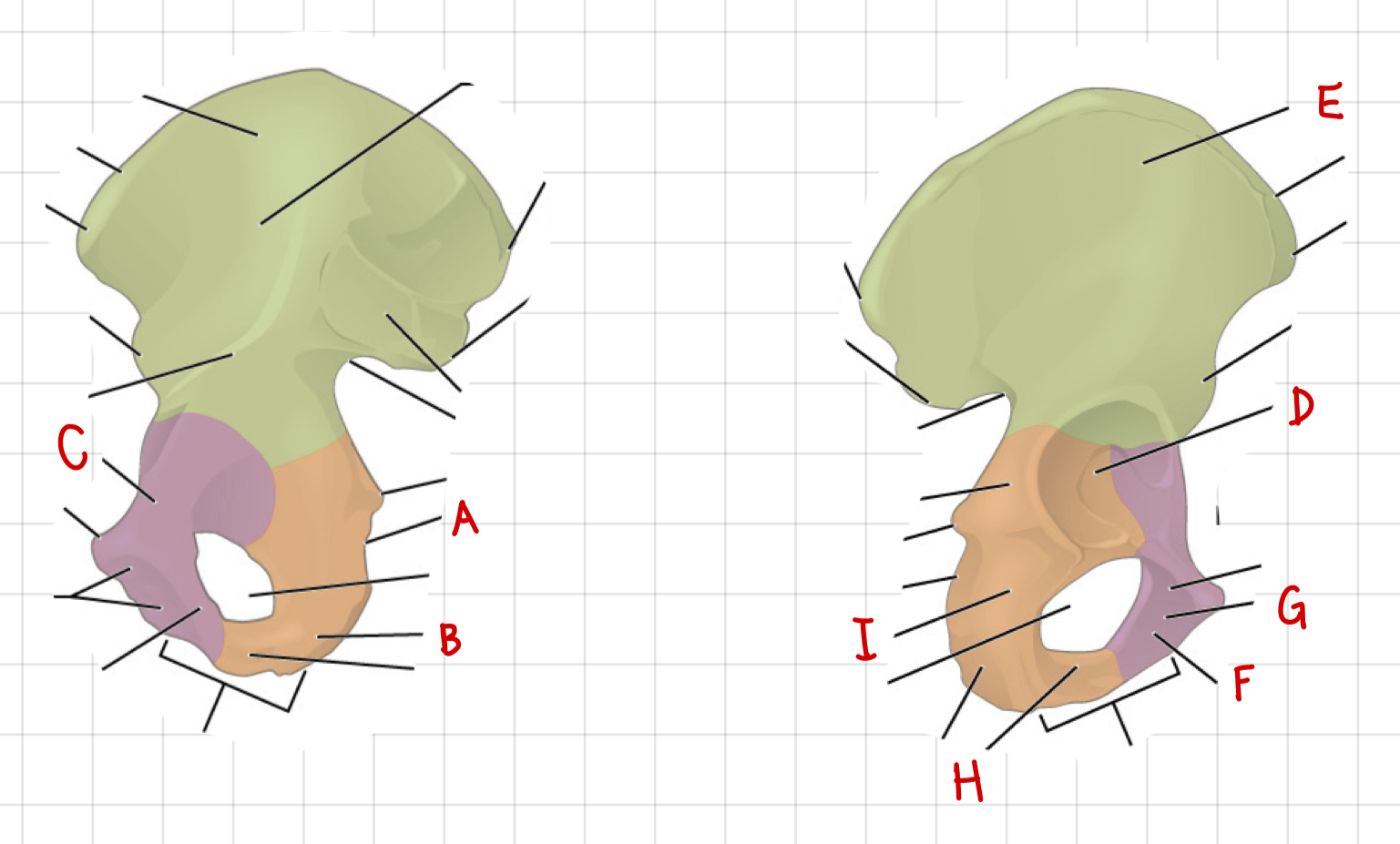 <p>I</p>