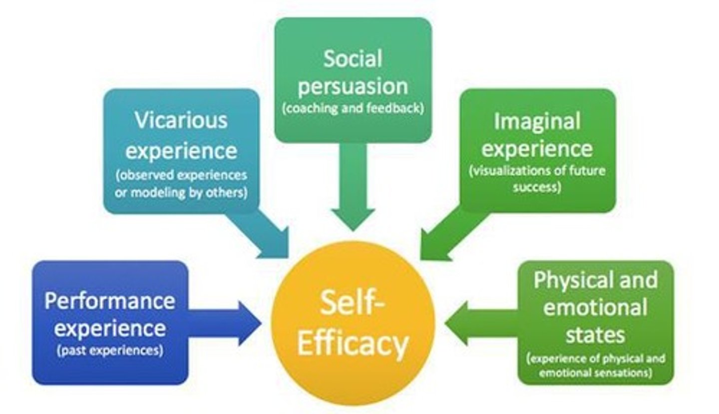 <p>Learning through observing others' successes.</p>