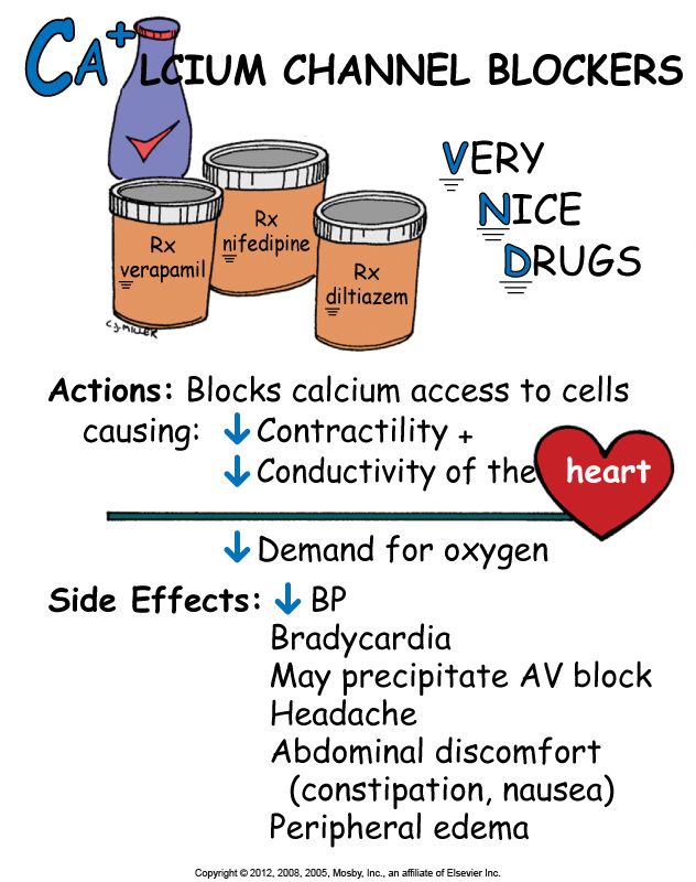 <ul><li><p>bind to L type calcium channel</p></li><li><p>reduce cytosolic ca</p></li></ul><ol><li><p>dihydropyridines: short: nifedipine, long: amlodipine</p></li><li><p>non dihydropyridine: verapamil, diltiazem</p></li></ol><p></p>