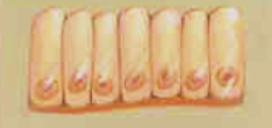 <p>one layer of columnar-shaped cells</p>