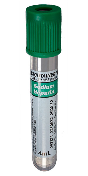 <p>Dark Green</p>