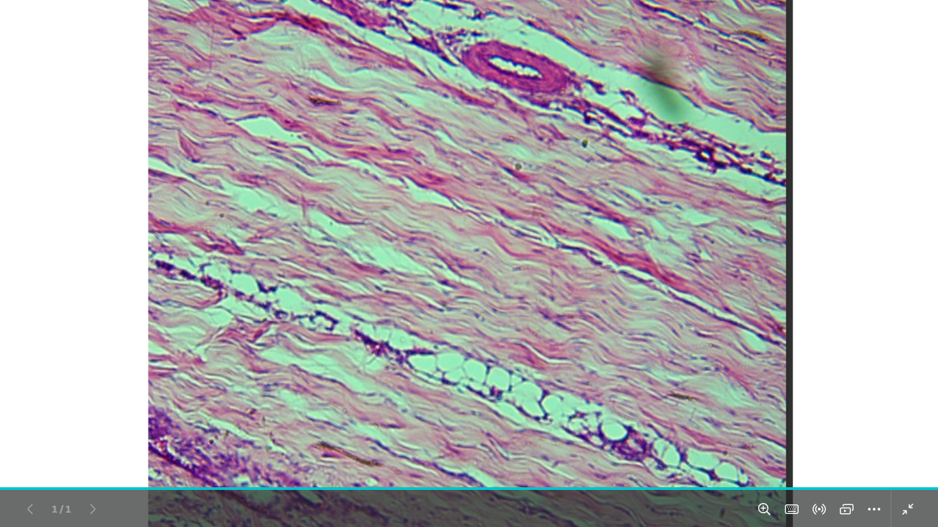 <p>identify </p><p>mention one site </p>