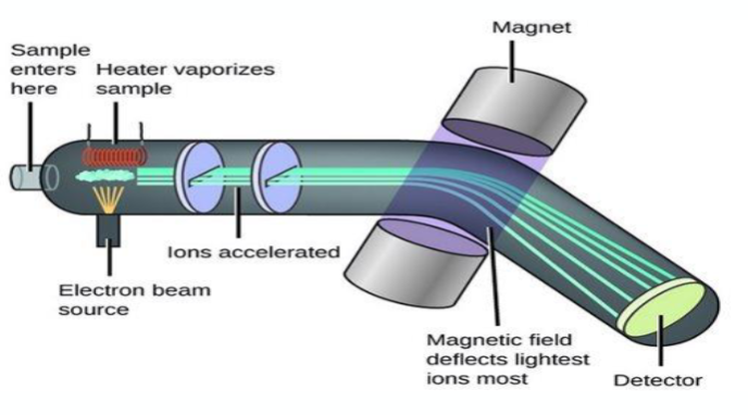 <p><span style="font-size: calc(var(--scale-factor)*24.05px)">Ionisation - Sample is ionised to produce charged particles</span><span><br></span><span style="font-size: calc(var(--scale-factor)*24.05px)">Acceleration of ions - Ions are accelerated through and electric field</span><span><br></span><span style="font-size: calc(var(--scale-factor)*24.02px)">Separation of ions - </span><span style="font-size: calc(var(--scale-factor)*24.05px)">Ions are separated on the base of mass/charge ratio</span></p>