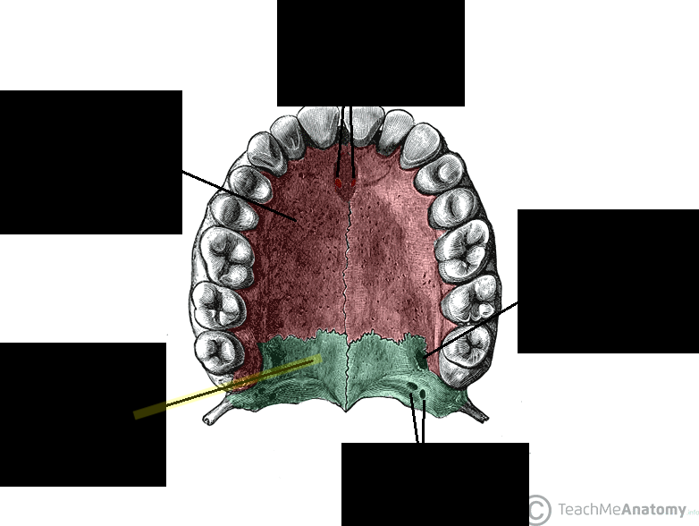 <p>What structure is this?</p>
