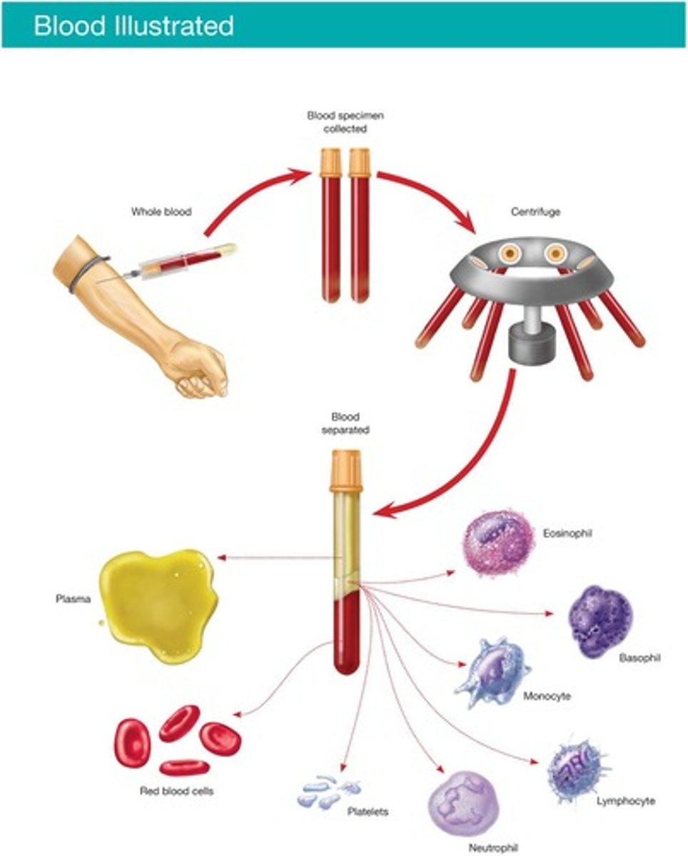 <p>Máy phân tích máu - kiểm tra các thành phần trong máu. (The lab used a blood analyzer - Phòng xét nghiệm dùng máy phân tích máu.)</p>