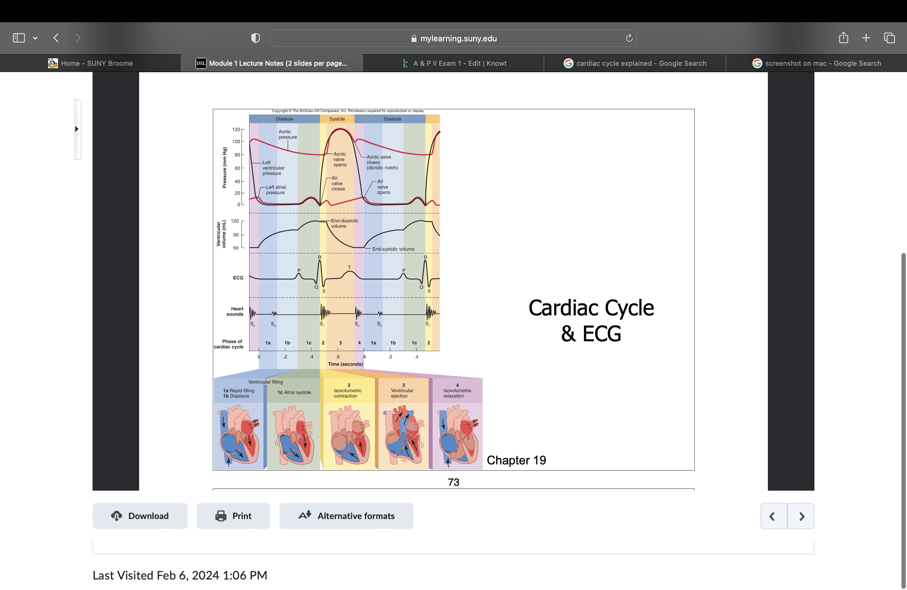 <p>Ions: Na and Ca = depolarization (contraction)</p><p>Ions: K = repolarization (relaxation)</p><p>T wave, things start to relax</p><p>Ventricles are most full in the systole stage</p><p>When ventricles are in systole they increase rapidly, causing semilunar valves to open.</p><p></p>