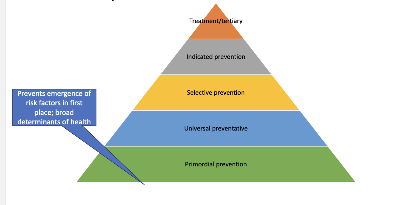 <p>top</p><p>treatment</p><p>indicated prevention</p><p>selective prevention </p><p>universal preventative </p><p>primordial prevention- prevents emergence of risk factors in 1st place </p>