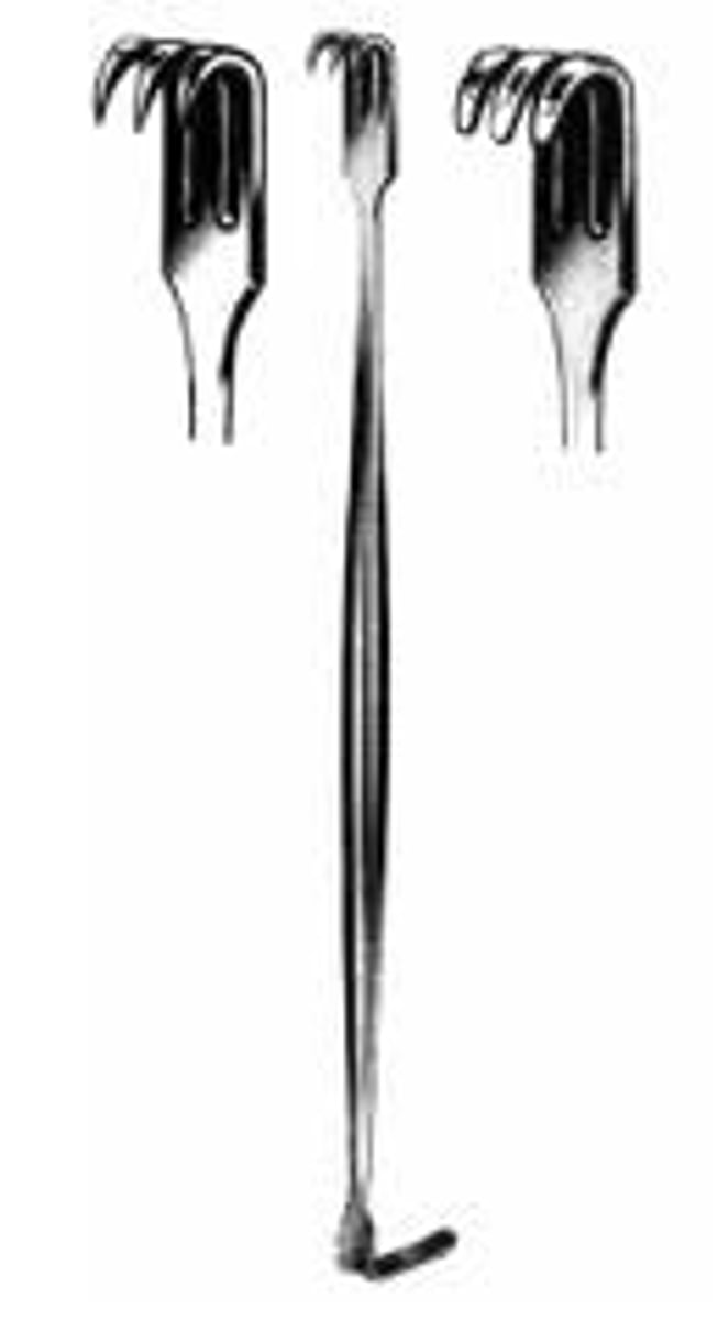 <p>used to hold back tissue from the surgical wound. 1 smooth blade, 1 blade with 3 sharp or blunt prongs</p>