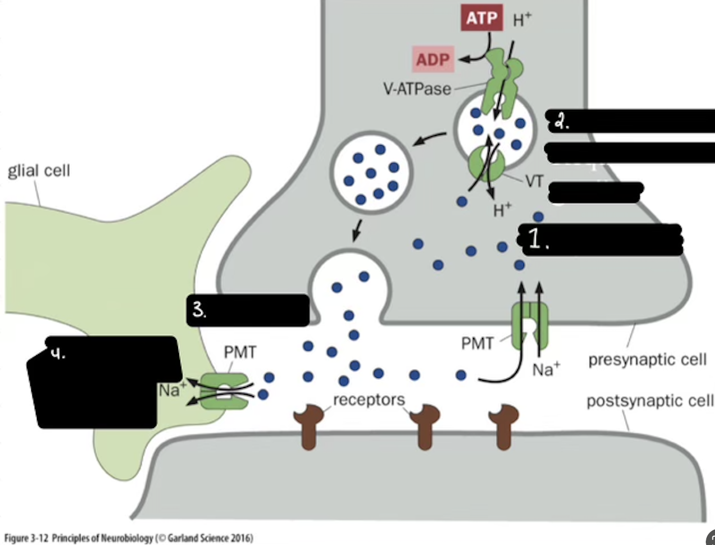<p>What is 4</p>