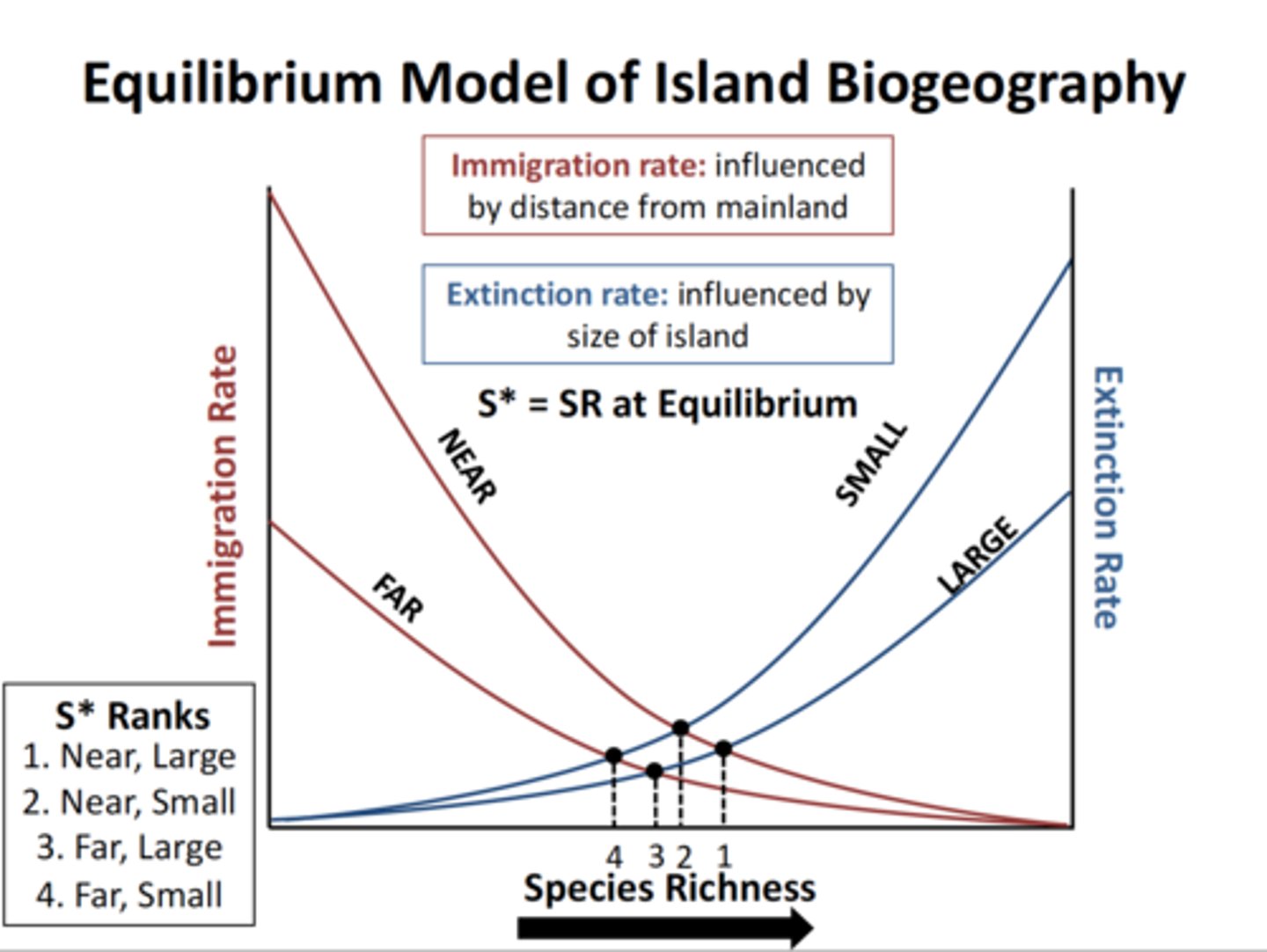 <p>The number of species that occupy a habitat depends on two factors:</p><p>1. Island size</p><p>2. Distance of island from source of colonists</p><p>Islands can be thought of as a natural habitat fragmentation 'experiment' in evolutionary time!</p>