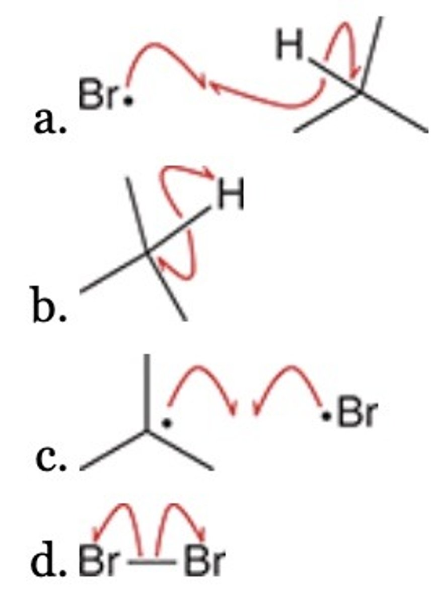 <p>Identify the most likely initiation step in the bromination of 2-methylpropane.</p>