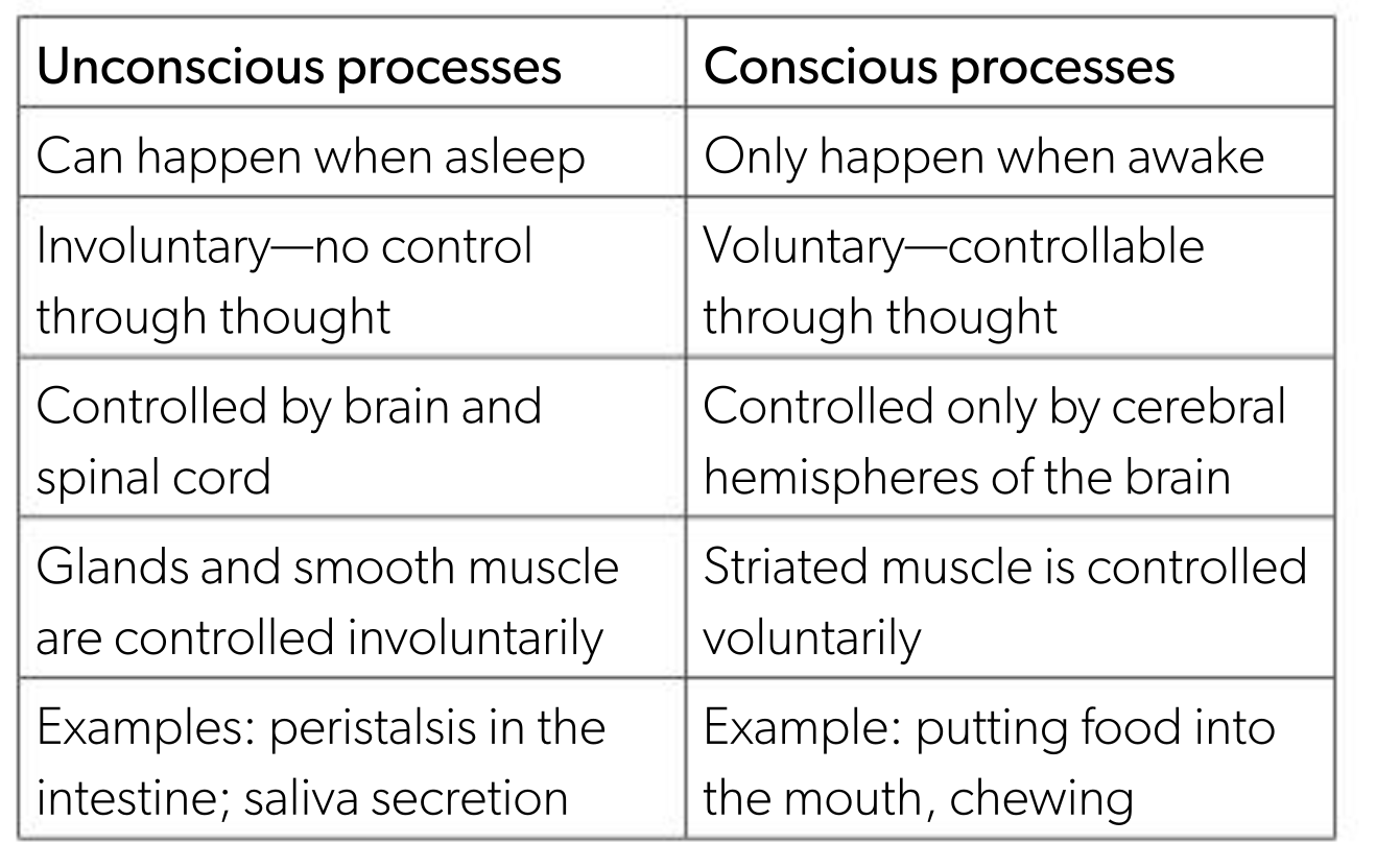 <ul><li><p>area of tissue in centre of spinal cord: grey matter, integrating centre for unconscious processes </p></li><li><p>this info is processed at the unconscious level, involves reflex reactions, which happen quickly</p></li></ul><p></p>