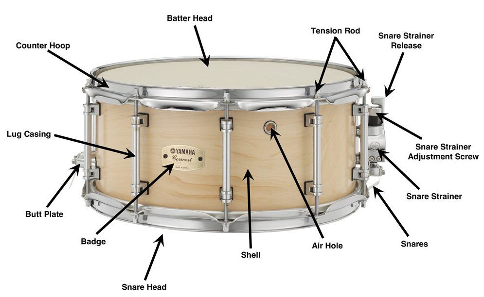 <p>Batter head – head you hit</p><p class="MsoNormal">Snare or resonant head – bottom head</p><p class="MsoNormal">Snare throw, snare switch –</p><p class="MsoNormal">Tension road</p><p class="MsoNormal">Counter hoop or rim</p><p class="MsoNormal">Shell</p><p class="MsoNormal">Butt assembly</p>