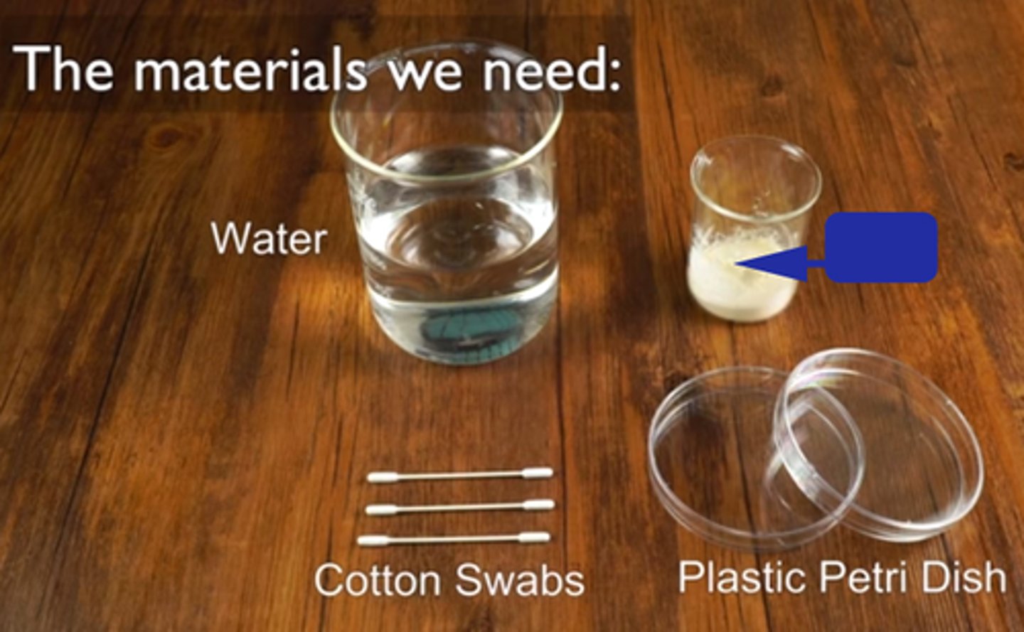 <p>agar</p>